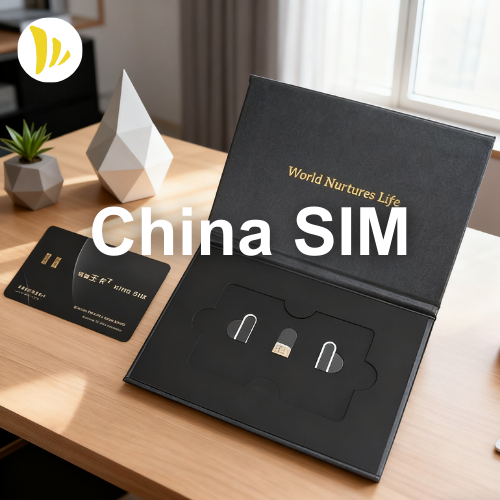 China SIM